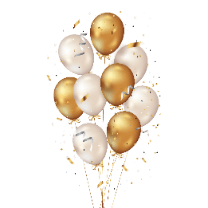 Kategorija - Party program