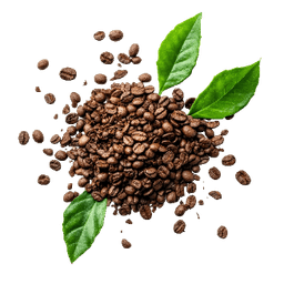 Kategorija - Kave in čaji