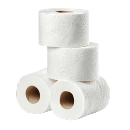 Kategorija - Papirnata konfekcija