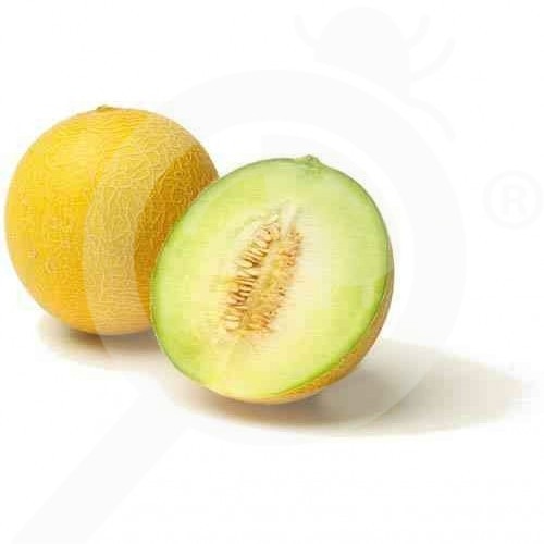 Galia melona za kg Akcija v trgovini Lidl