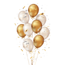 Kategorija - Party program